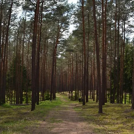 Nowa Holandia *